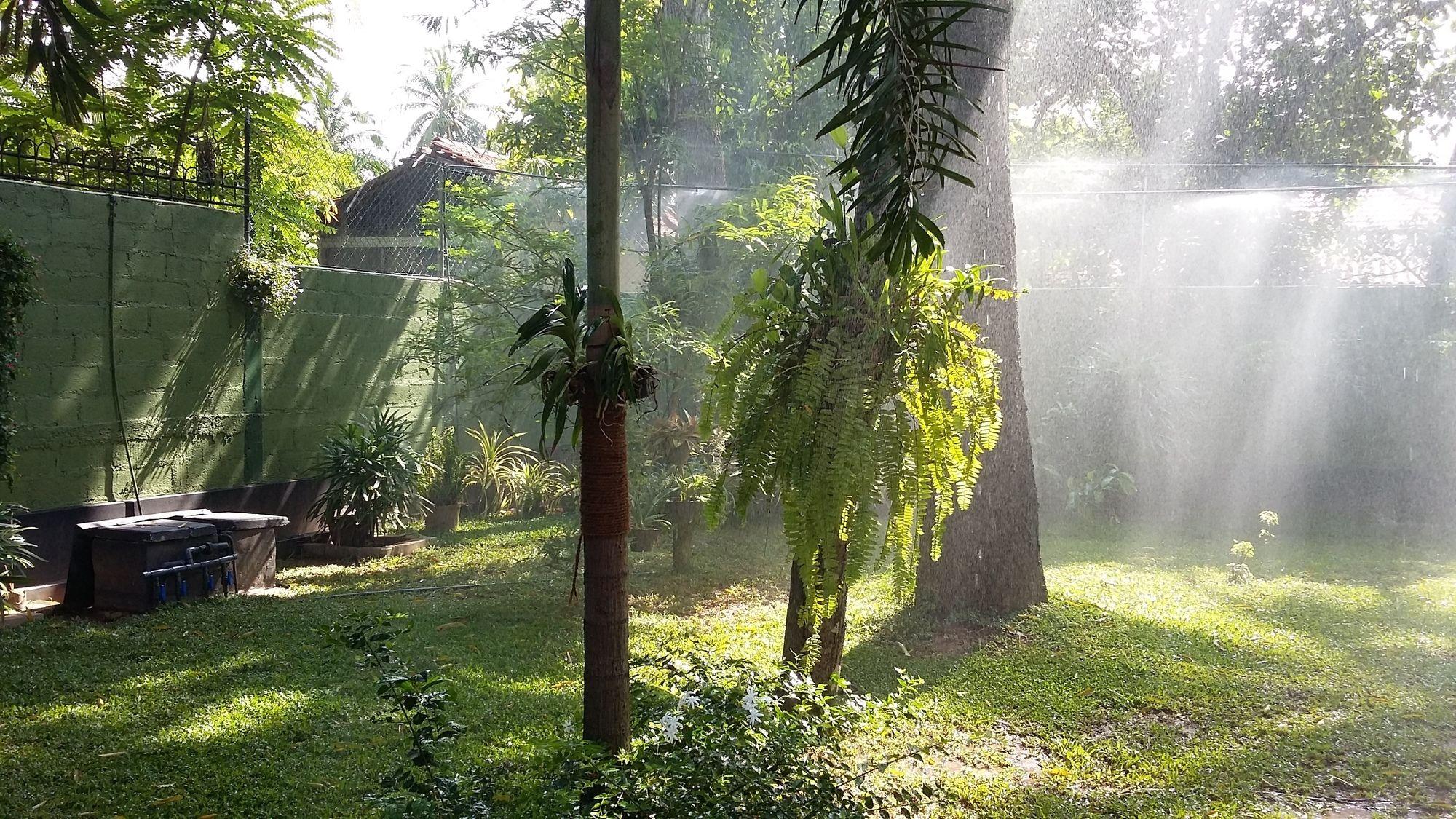 West Dene Acomodação com café da manhã Negombo Exterior foto