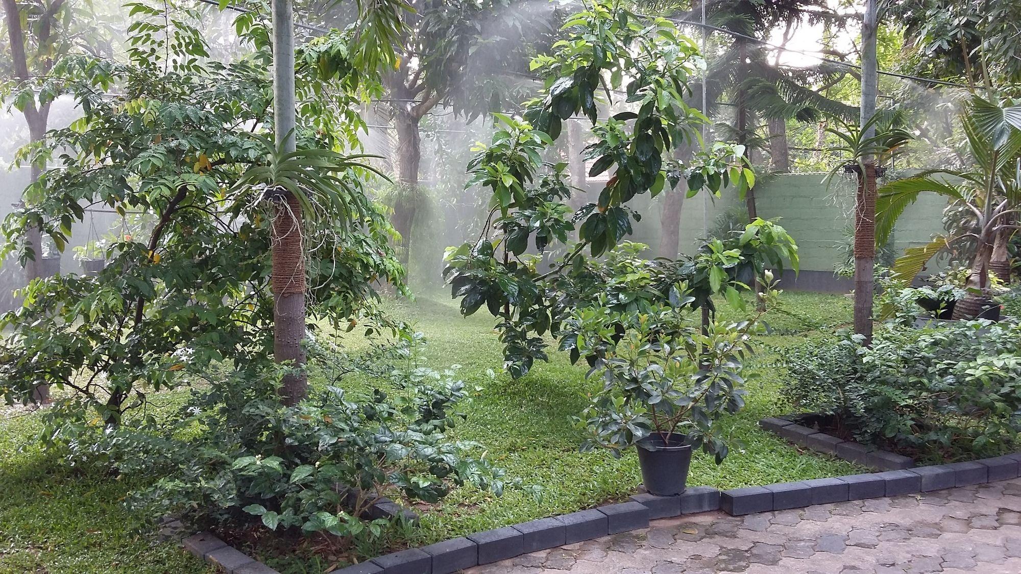 West Dene Acomodação com café da manhã Negombo Exterior foto